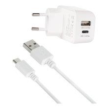 Dual wall charger with type C cable